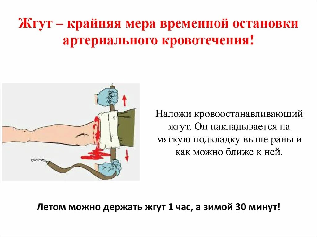 Кровоостанавливающий жгут накладывается выше раны на:. Жгут кровоостанавливающий для остановки артериального кровотечения. Способы оказания первой помощи при травматических повреждениях. Крайняя мера временной остановки артериального кровотечения.