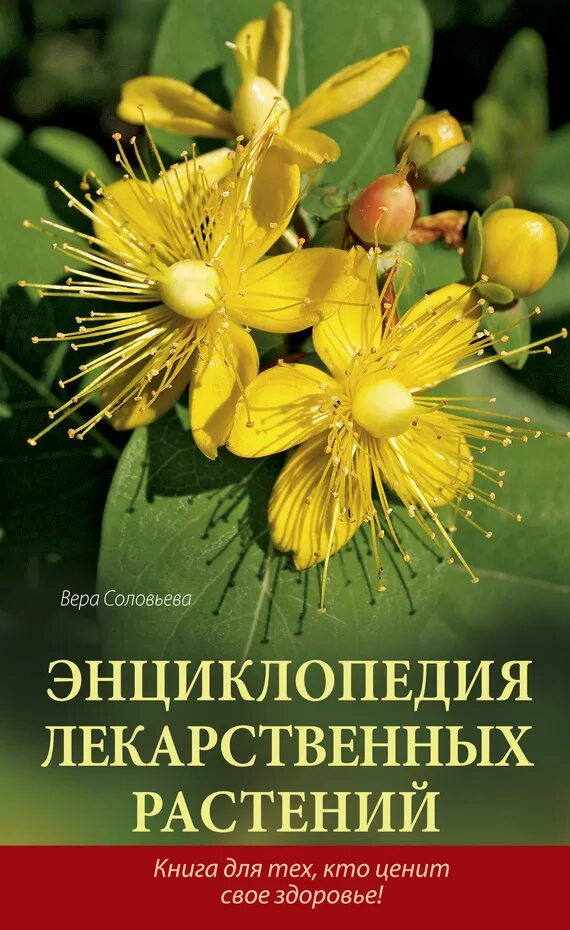 Книги о растениях. Соловьёва энциклопедия лекарственных растений. . Куреннов "Самолечебник. Энциклопедия лекарственных растений". Лекарственные растения книга. Растения. Энциклопедия