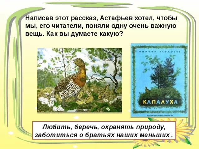 Капалуха 3 класс школа россии рабочий лист. В П Астафьев Капалуха. Капалуха 3. Рассказ Капалуха. Рассказ Капалуха Астафьев.