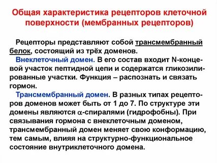 Характеристика рецепторов