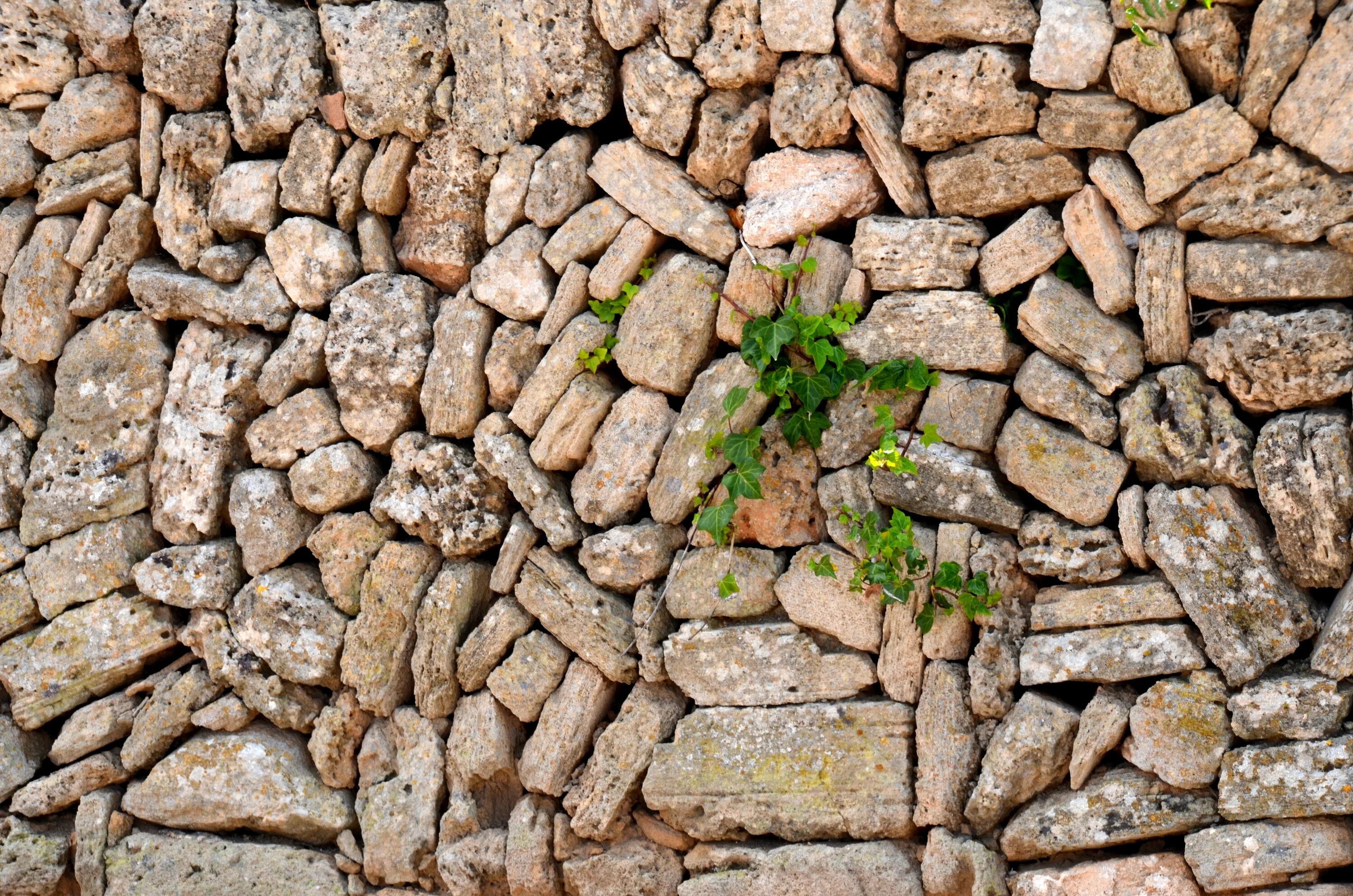 Stone through