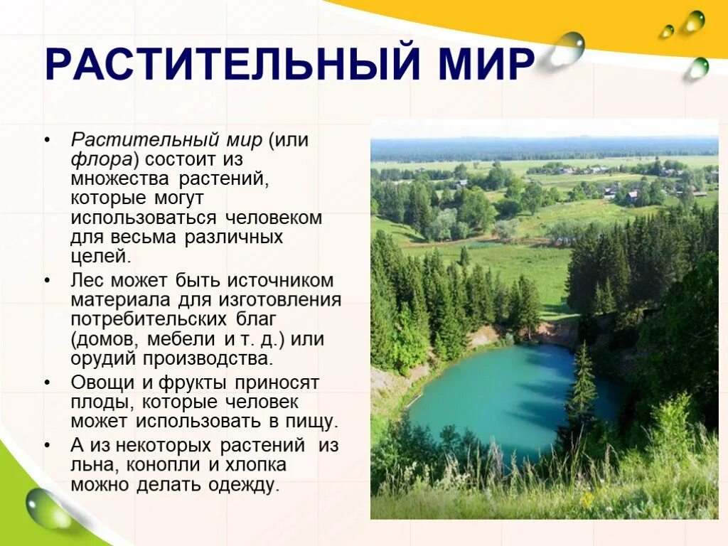 Природные богатства и труд людей сообщение. Проект природные богатства. Природные богатства окружающий мир. Природные богатства 3 класс. Природные богатства доклад.