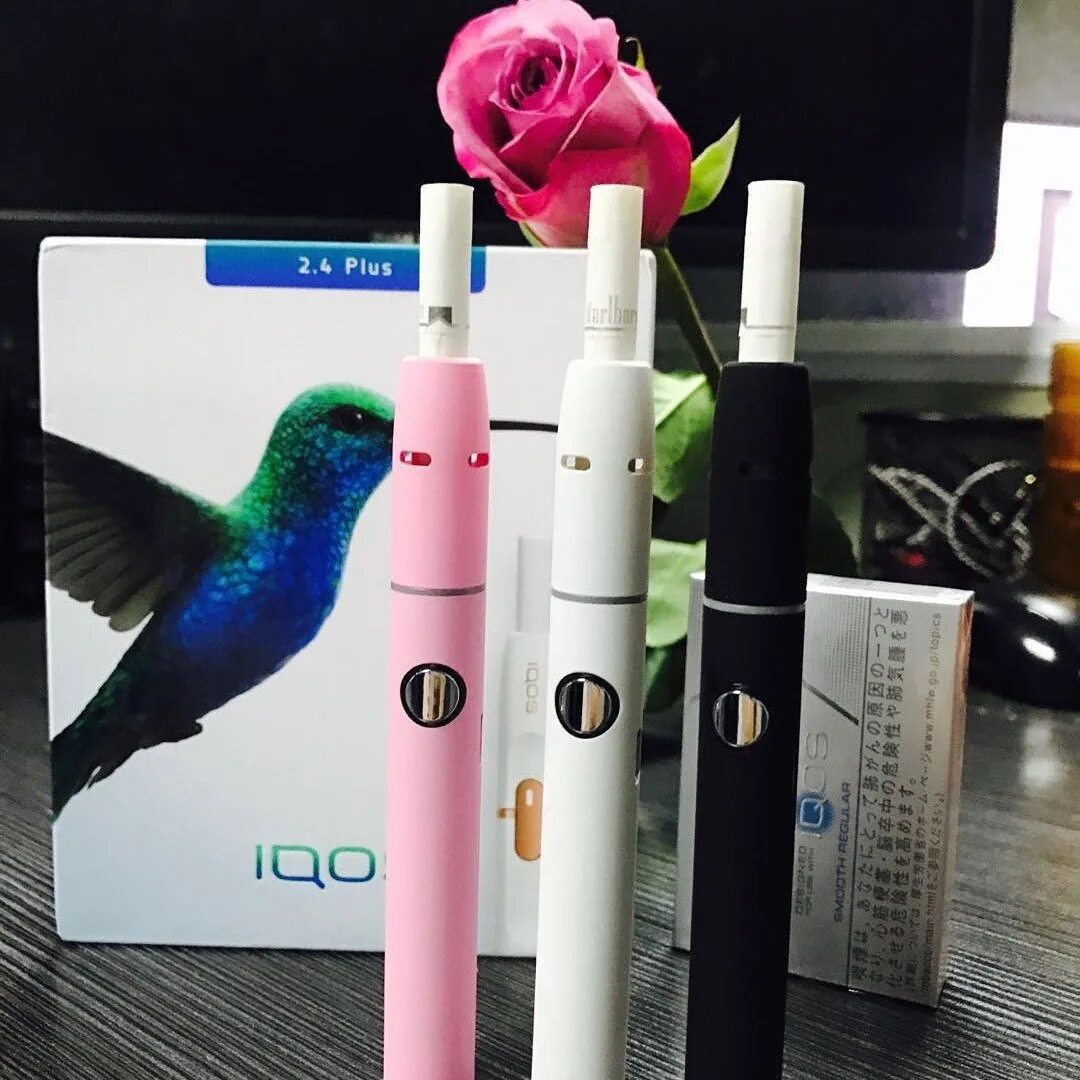 Айкос егошка. Розовый айкос. Пепельница айкос. IQOS Multi розовый. Использованный стик айкос