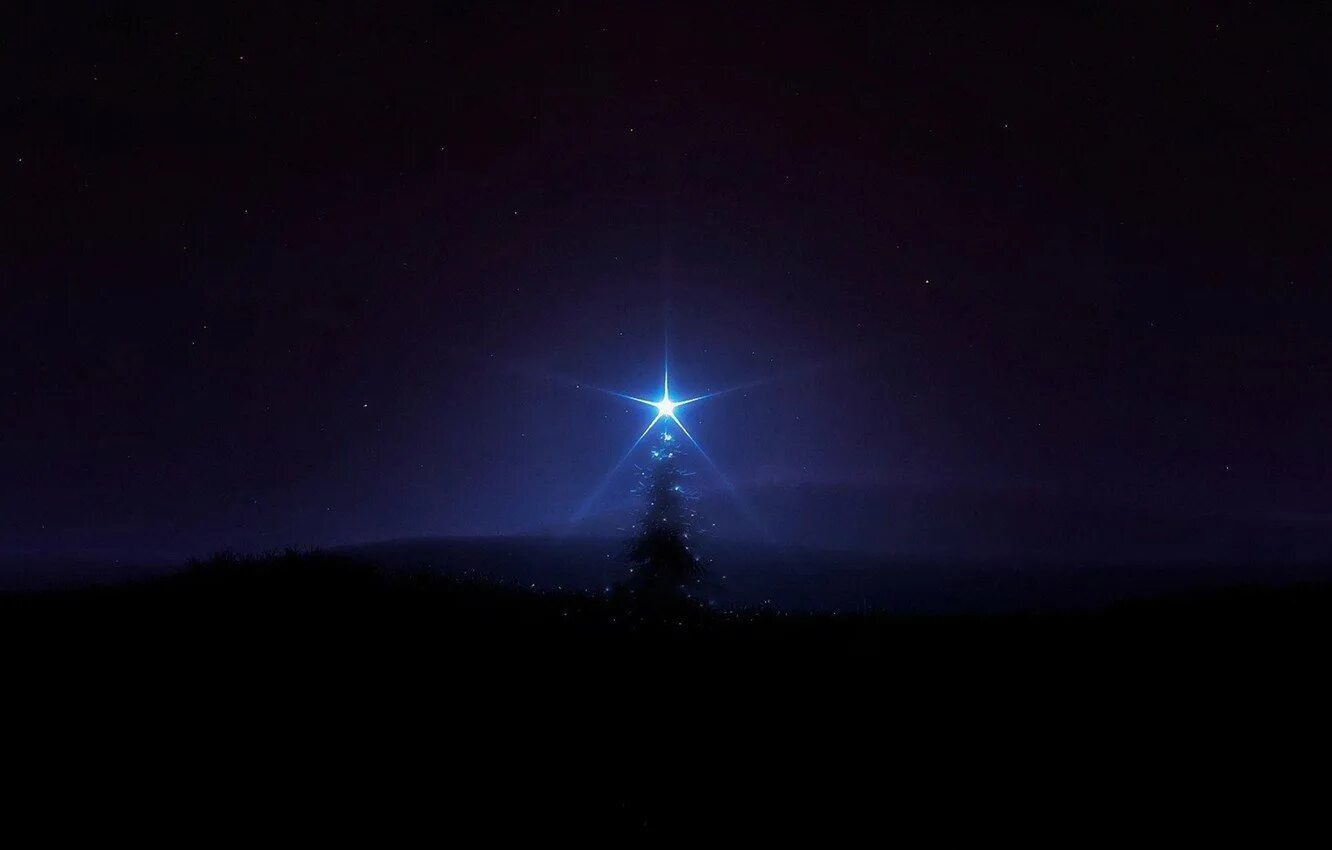 Море и звезды. Девушка и звездное небо. Ночное небо. Звездное небо. Одинокая яркая звезда.