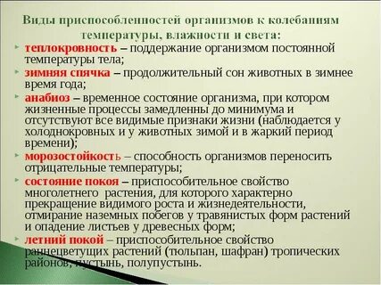 Теплокровность характерна для