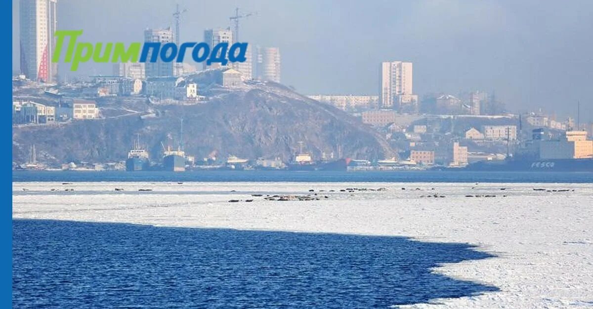 Владивосток климат. Зима в Владивостоке климат. Приморский климат. Владивосток климат фото. Владивосток климат зимой