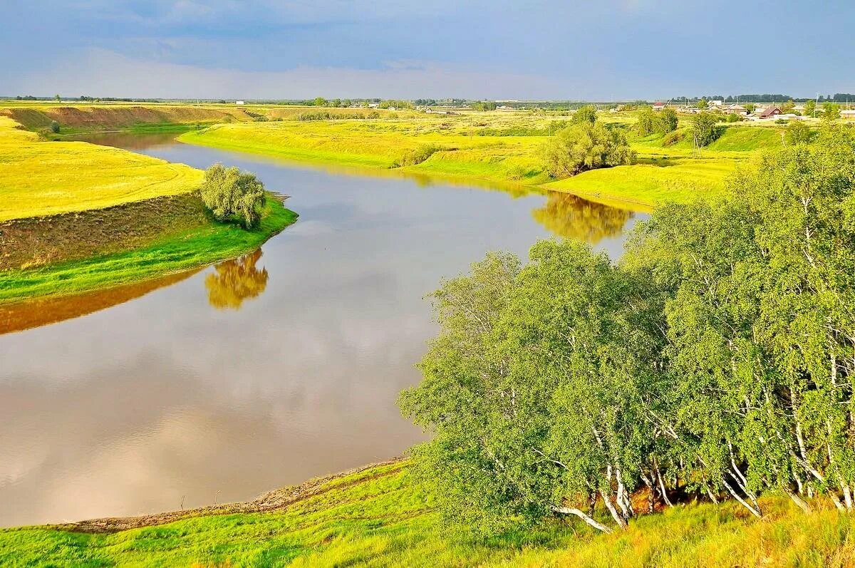 Родной край омск. Родной край омская область. Река омь омская область фото. Омка река. Река тарбуга омская.