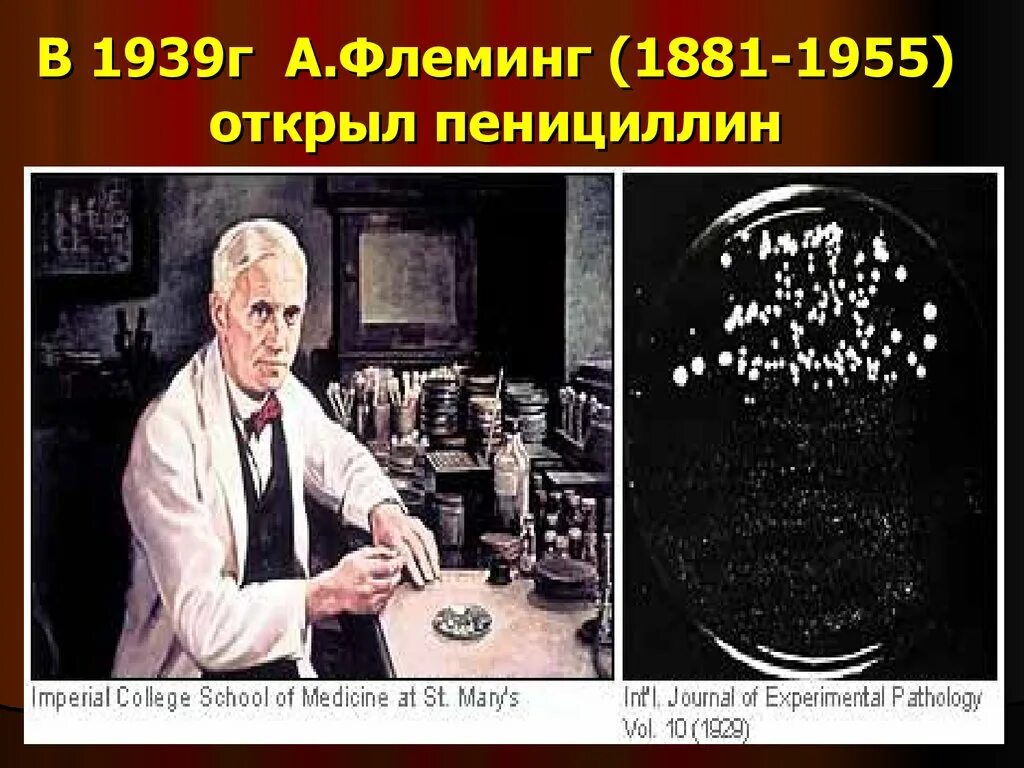 Кто первый открыл пенициллин. Антибиотики пенициллин Флеминг. Флеминг пенициллин открытие.