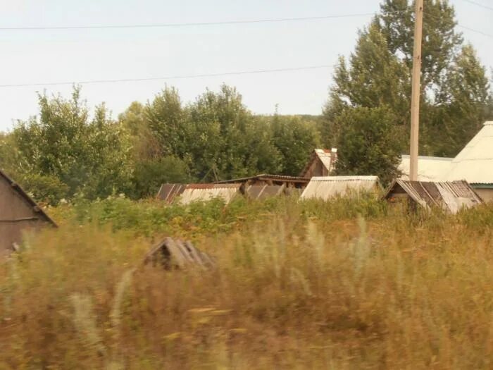Пензенская область село вачелай. Пензенская область село вачелай. Поселок сосновоборск пензенская область. Альмяшевка пензенская область. Русский качим пензенская область родник.