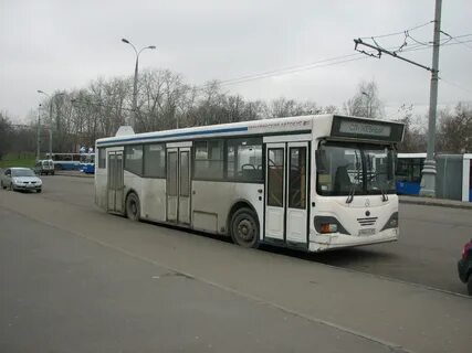 Петербург мичуринское автобус