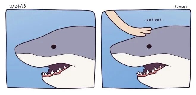 Акула Мем. Мемы про акул. Акула иллюстрация. Милые акулы.