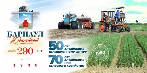 Работа день барнаул