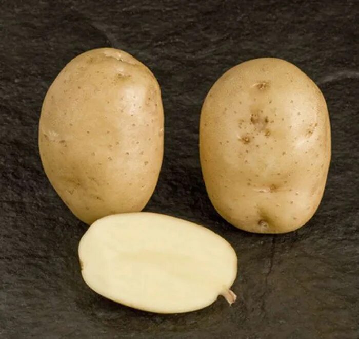 Какой сорт картофеля рассыпчатый и вкусный. Картофель скороспелка сорта. Сорт картофеля Детскосельский. Сорт картофеля Тимо. Пензенская скороспелка картофель.
