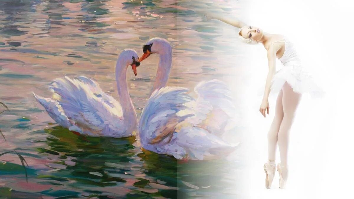 Лебединое озеро белый лебедь. Балерина и лебедь у озера. Картина балет Лебединое озеро. Балет Чайковского Лебединое озеро картины. Озеро лебедей балет чайковского