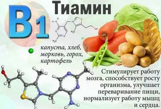 Витамин в1 тиамин функции. Витамин b1 тиамин роль в организме. Витамин б1 тиамин. Витамин в1 тиамин недостаток. Витамин в 1 функции
