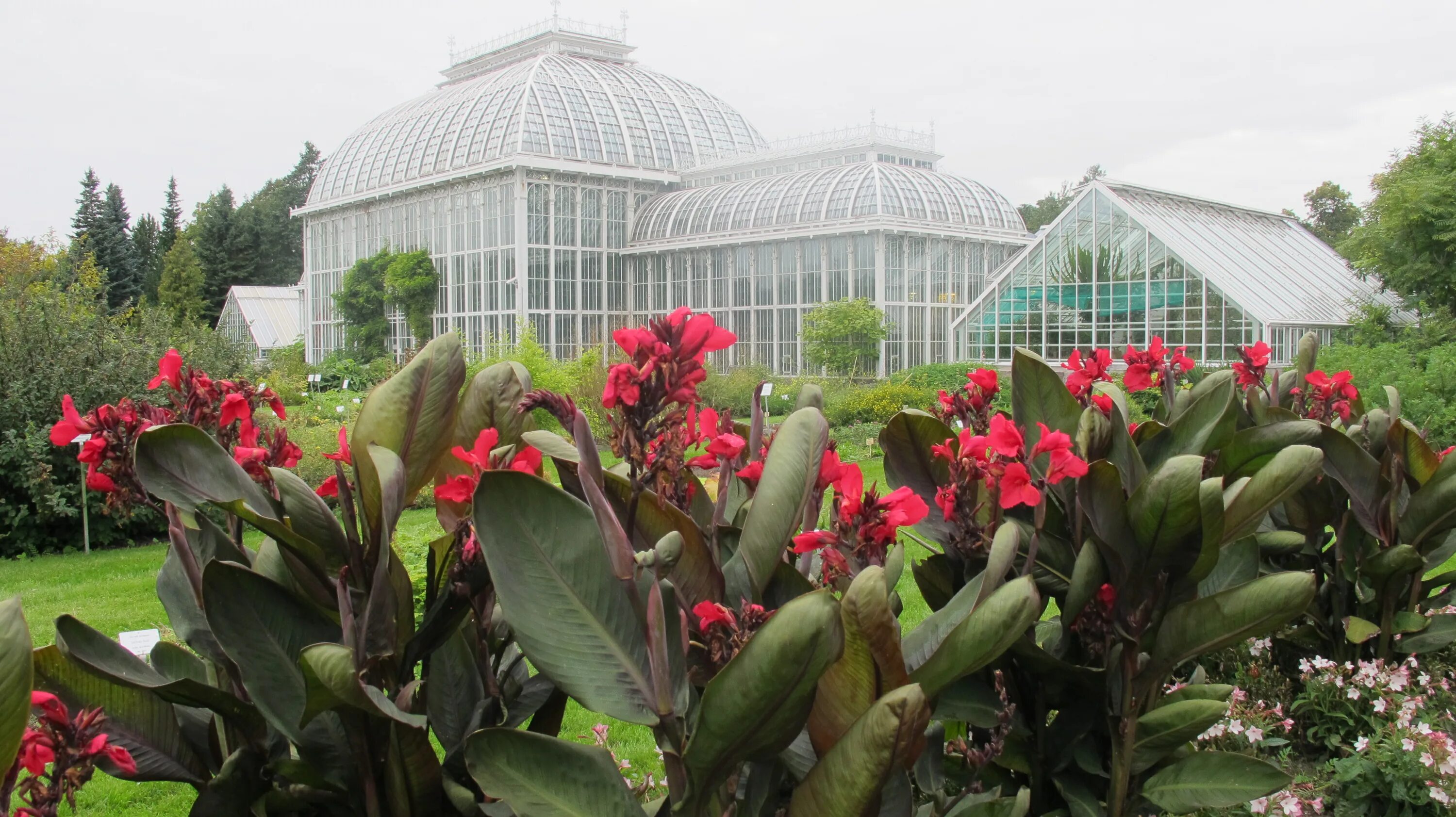 Ботанический сад уро ран. Ботанический парк уро ран. Оранжерея ботанического сада минск. Парк ботанический сад екатеринбург. Ботанический сад екатеринбург ботаника.