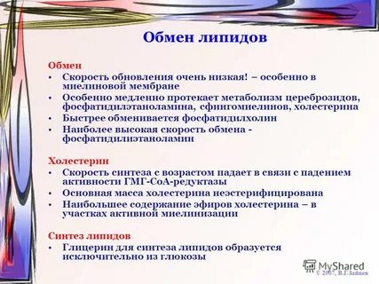 Обмен липидов биохимия