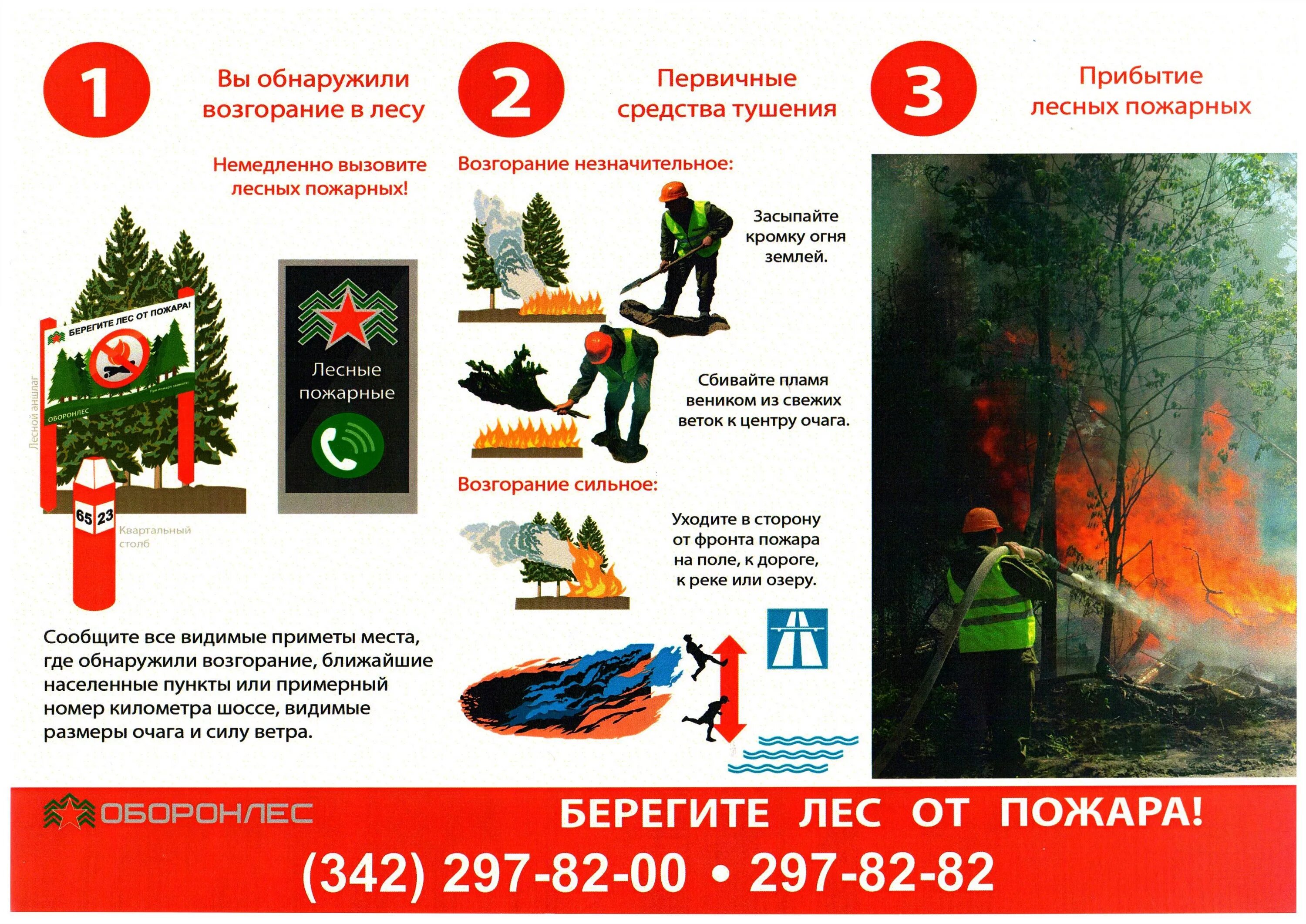Действия при лесном пожаре. Поведение при пожаре в лесу. Алгоритм действий при лесном пожаре. Памятка действия при лесном пожаре. Памятка при лесном пожаре.
