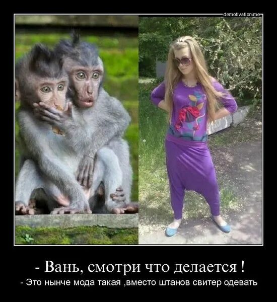Нынче в моде. Нынче мода такая. что нынче в моде. модные нынче понятия «. что нынче в моде ответ.