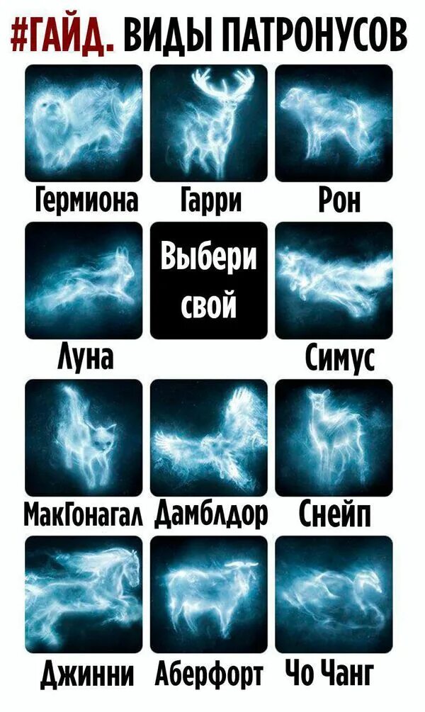 патронусы в гарри поттере. патронусы героев гарри поттера список. патронусы в гарри поттере. патронус героев гарри. патронусы героев.