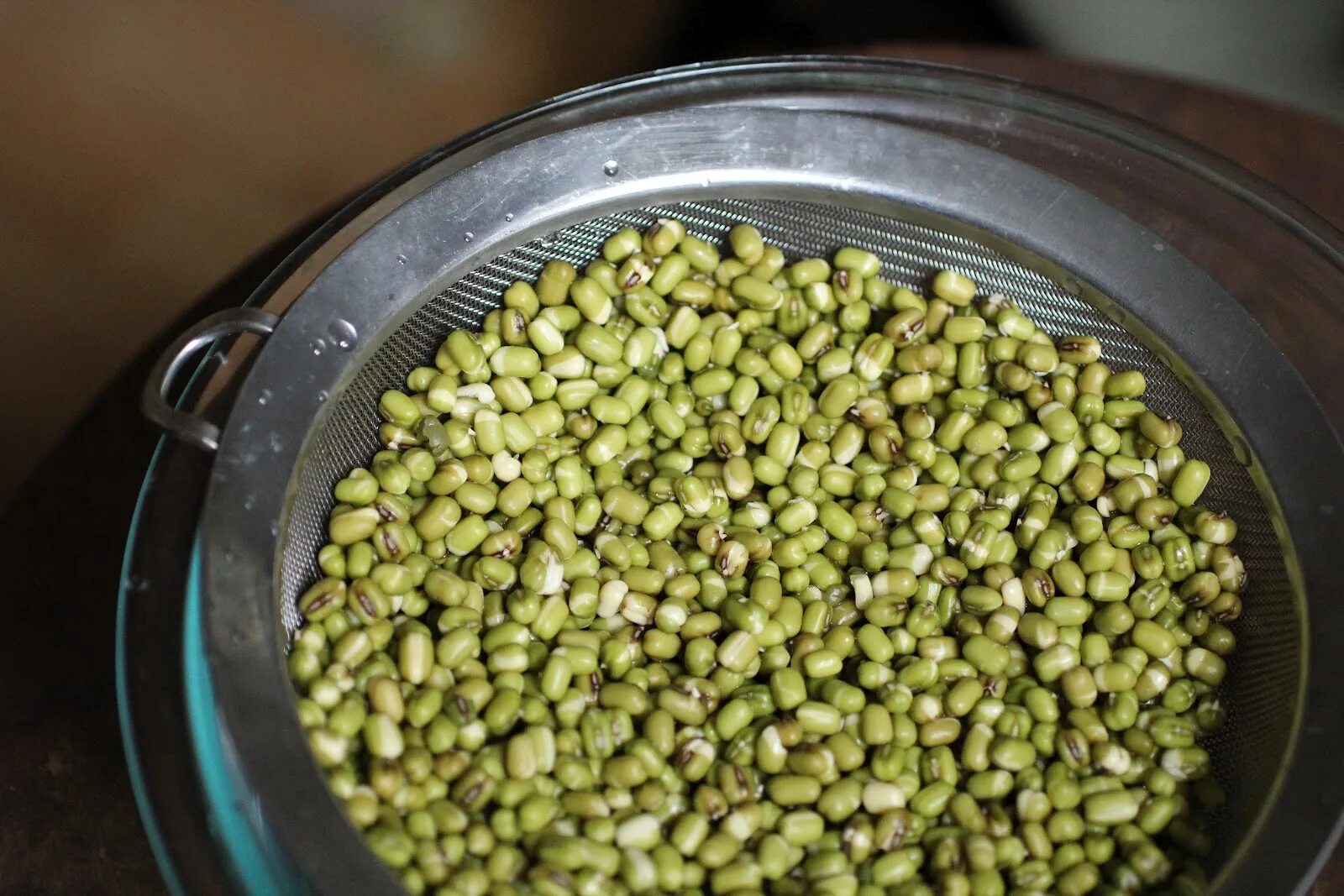 Бобы мунг в поке. Горох мунг. Выращивание бобов мунг в индии. Зеленые бобы. Машхурда крупа.