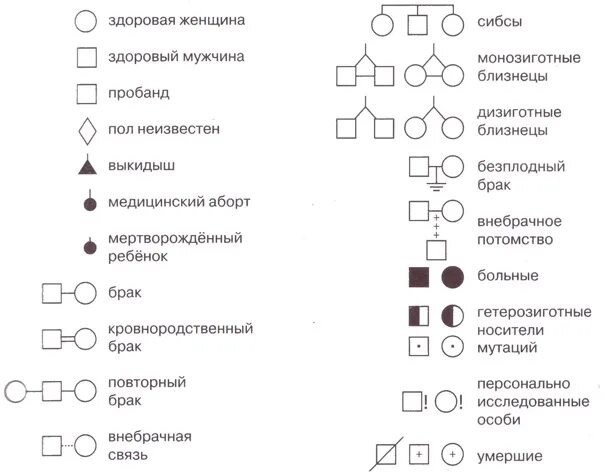 Условные обозначения генетики. Обозначения родословная генеалогический метод. Генеалогический метод обозначения в родословных. Генетика условные обозначения родословной. Родословная генетика обозначения.