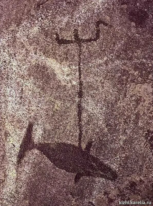 Петроглифы кижи. Онежские петроглифы. бесов нос. петроглифы онежского озера и белого моря юнеско. петроглифы онежского озера и белого моря фото.