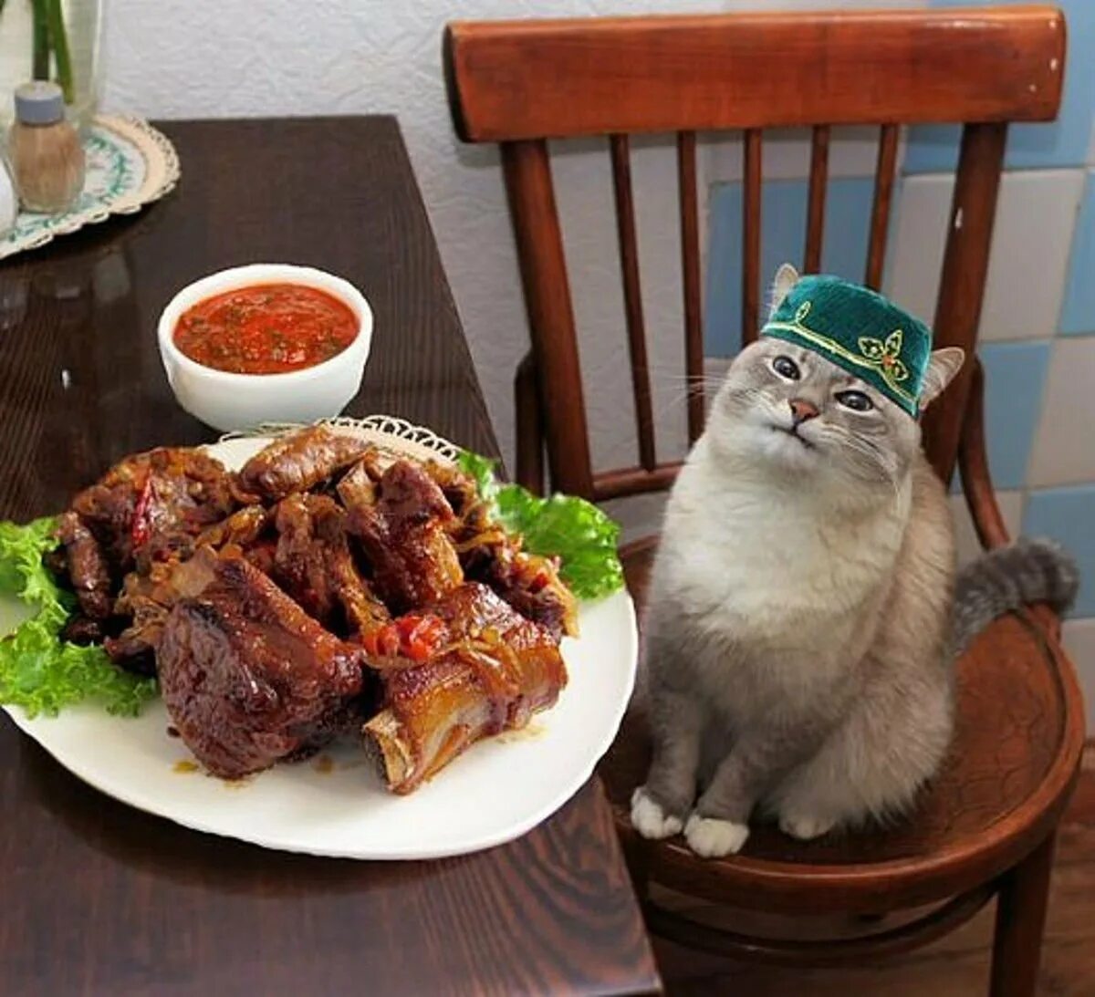 Аппетит на казахском. Приятного аппетита коты. кот и плов. кот ест приятного аппетита. кот в тюбетейке татарской.