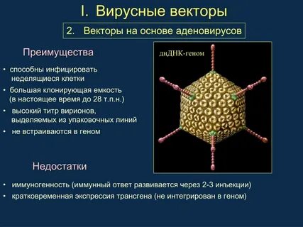 Вирусная система