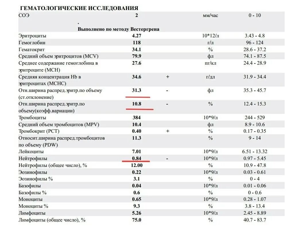 Пониженные нейтрофилы сегментоядерные в крови у женщин