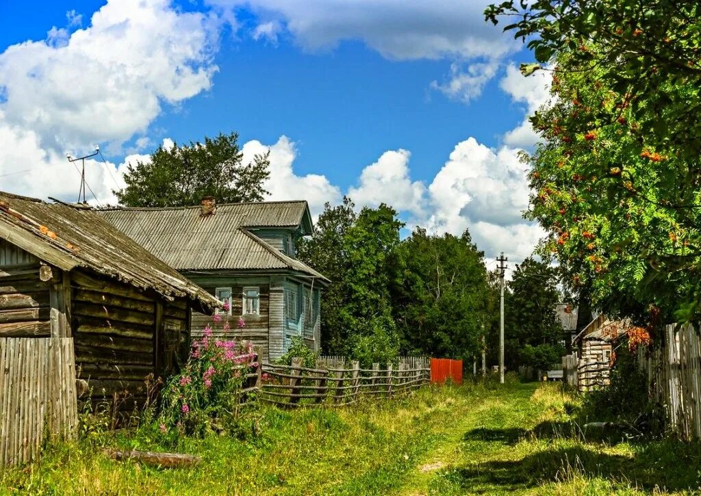 Про русские деревни. Заброшенные деревни Кич Городецкого района Вологодской области. Деревня деревенька Тверская область. Деревня Павлово Кич Городецкий район Вологодская область. Деревня деревенька Вологодская область.