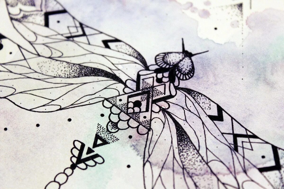 Стрекоза раскраска для детей. Стрекоза эскиз. Стрекоза графика. Стрекоза в графическом стиле. Стрекоза графика.