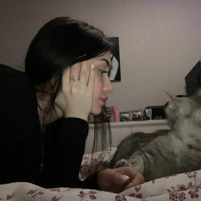 Dardvls. Dardvls. Dardvls. Dardvls. Dardvls.