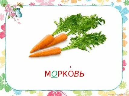 Род слова морковь