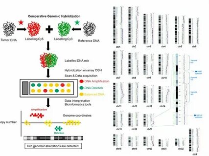 Comparative genomics