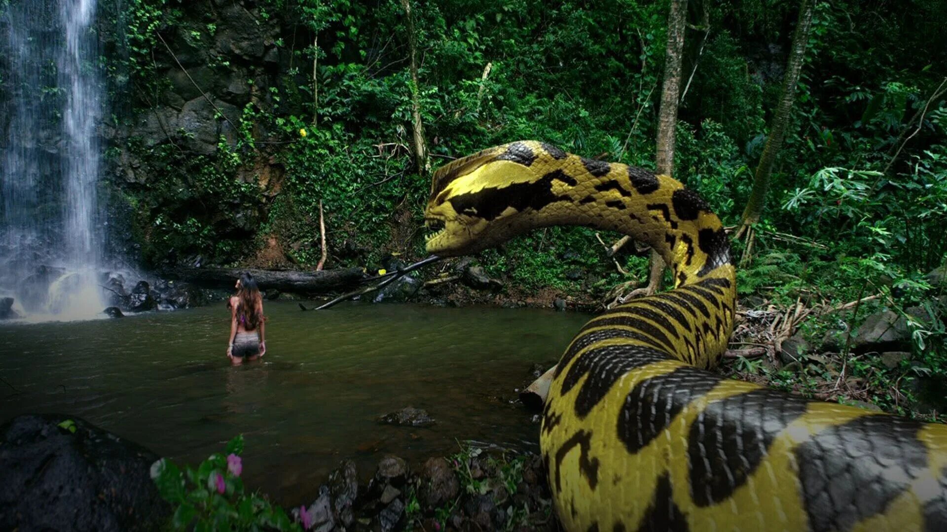 Опасные джунгли. Пираньяконда против мегоконды. Джунгли деревья. Человек в джунглях. Мир опасные джунгли.
