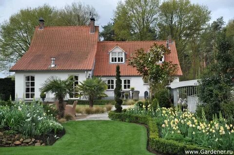 More more garden
