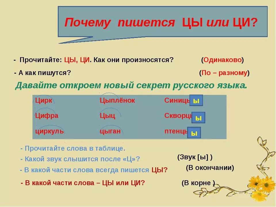 Писать посему. Почему как пишется. Цы Ци. Правило по русскому языку в окончании цы или Ци. Как правильно писать по разному.