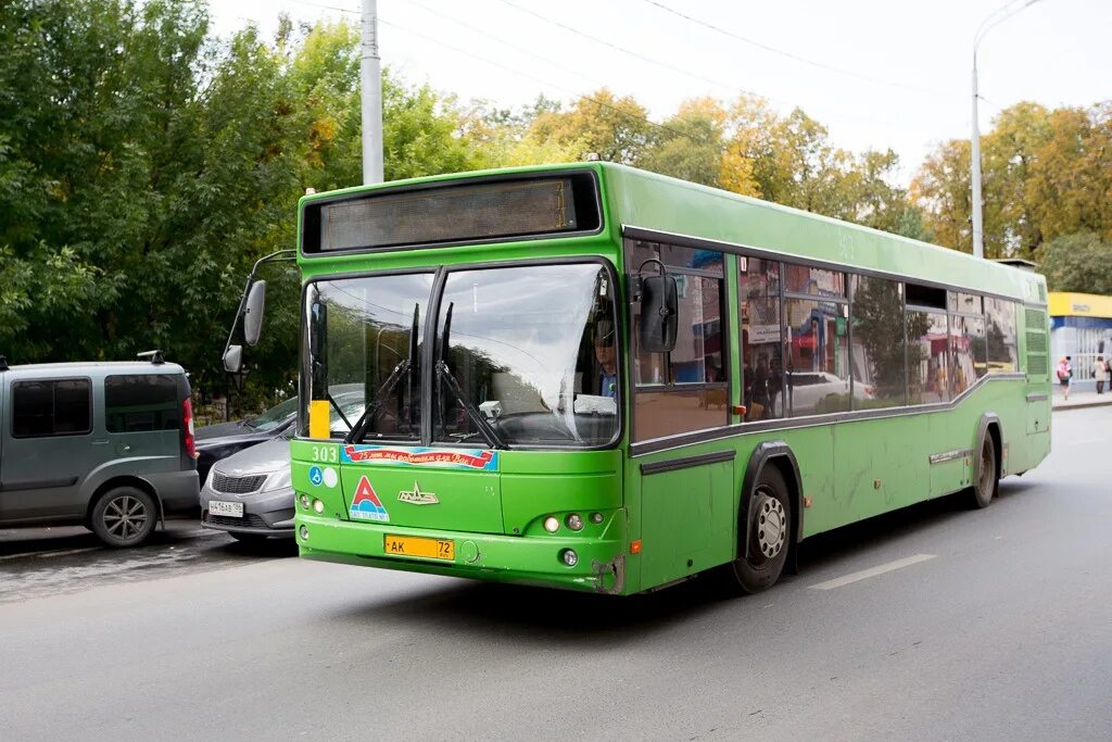 Автобус тюмень сайт. Автобусы Тюмень. Автобусы гармошка МАЗ Тюмень. Общественный транспорт Тюмень. Автобусы Ишим.