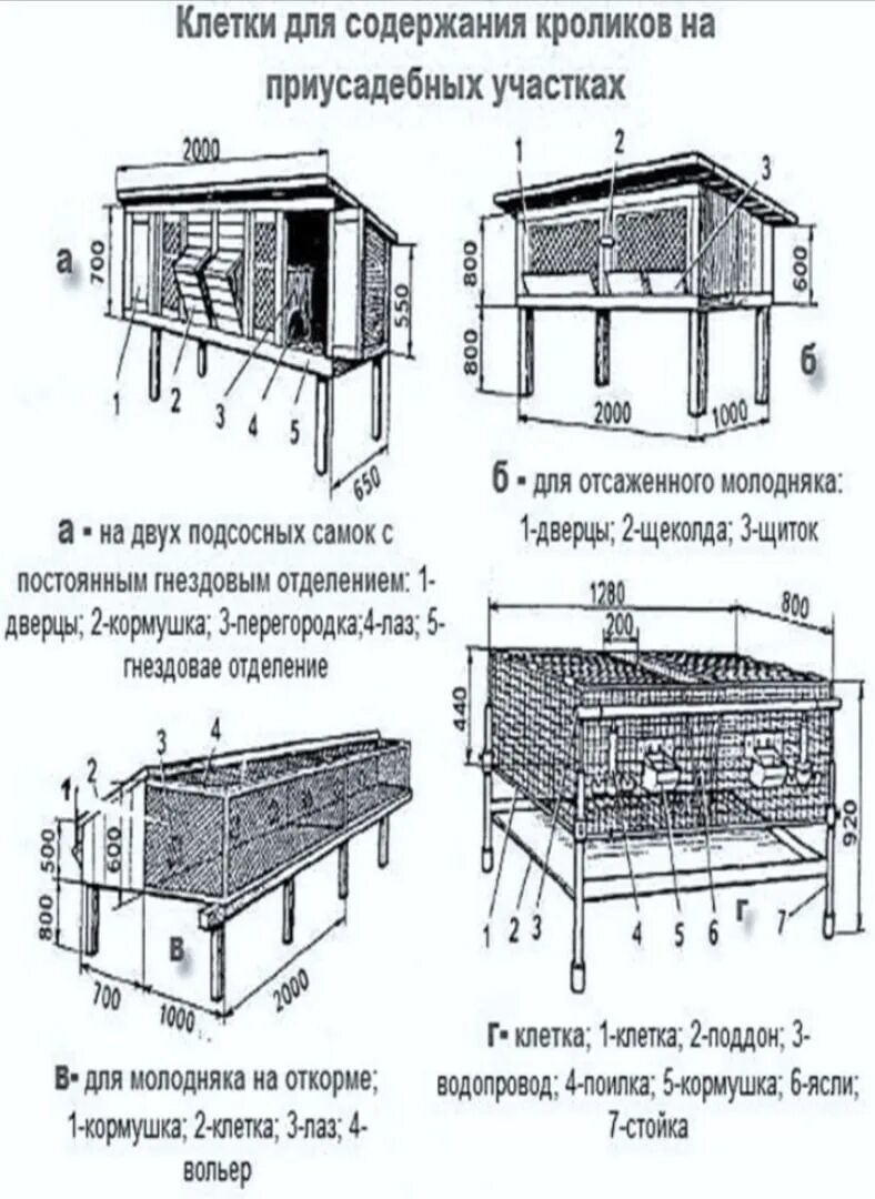 Размер клетки для кроликов с маточником схема. Клетки для кроликов чертежи с размерами. Кроличьи клетки чертежи. Чертеж крольчатника. Фото чертежей клеток для кроликов