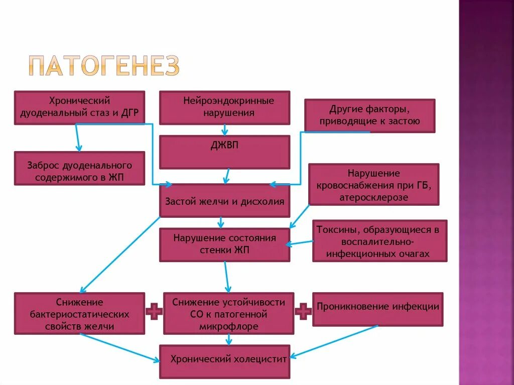 Хронический холецистит патогенез схема. Патогенез холецистита схема. Хронический гастрит патогенез симптомов. Некалькулезный холецистит патогенез.