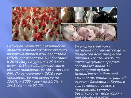 Сообщение хозяйство