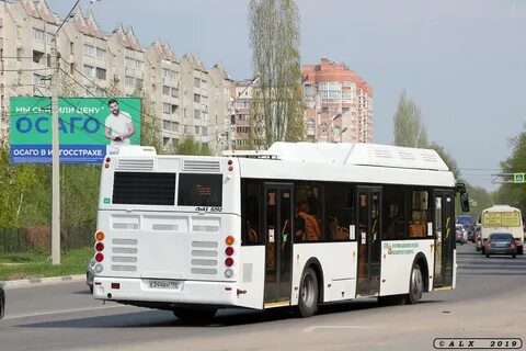 344 автобус