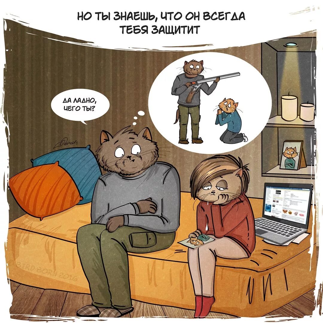 Отец и сын коты