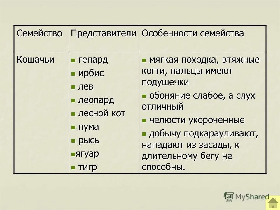 семейства хищных млекопитающих таблица 7 класс. семейства отряда хищные таблица. особенности представителей семейств отряда хищные таблица. отряд хищные презентация. семейства отряда хищные таблица.