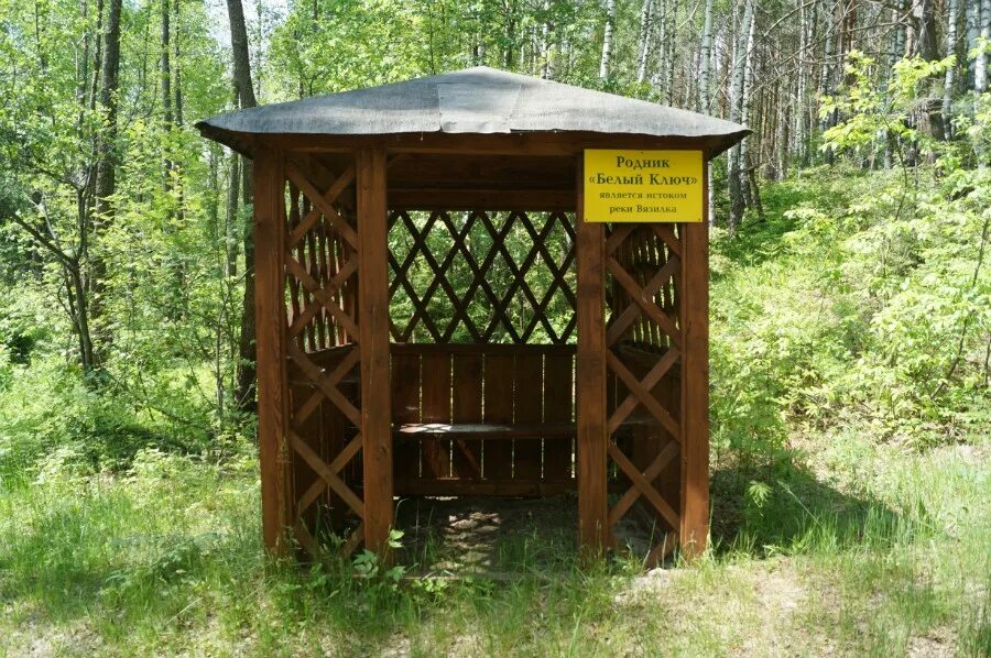 Аренда родника. Шаймиевский Родник. Родник белый ключ. Змеиногорск беседка Родник. Родник соляная яма.