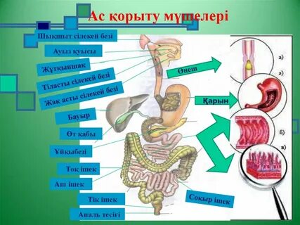 Ауыз алу