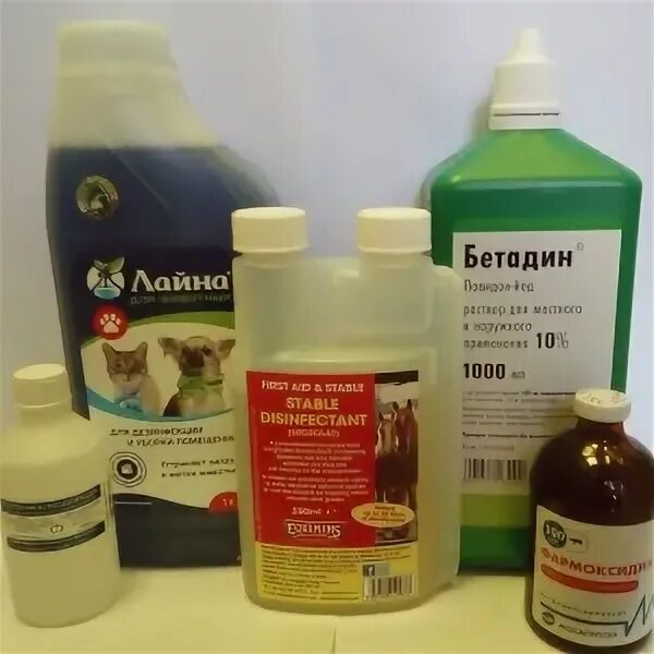 эмидонол 20. хорс аптека. цамакс порошок. лекарство для лошадей. мази для животных от телязиоза.