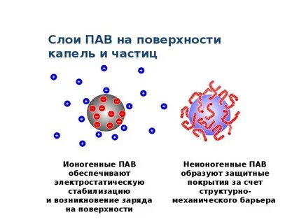Пав ю