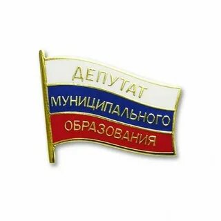 Муниципальный депутат предложил
